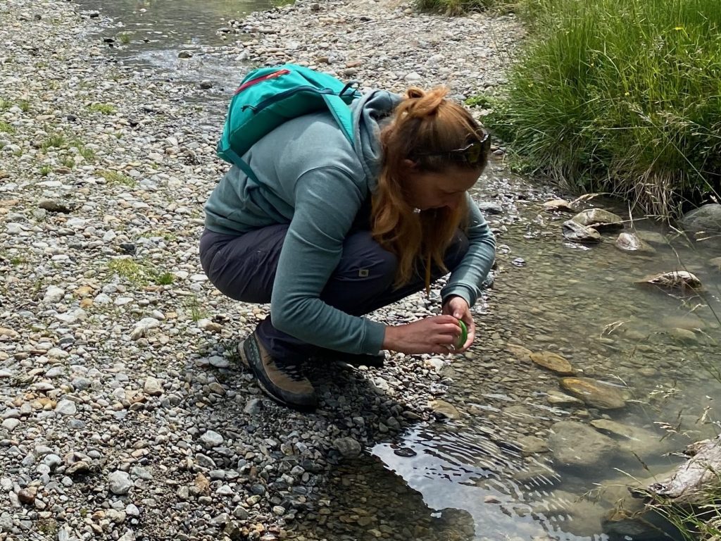 Dr. Martina Weiss schaut, welche Insektenlarven und Krebstiere in einem Bach in Österreich vorkommen.