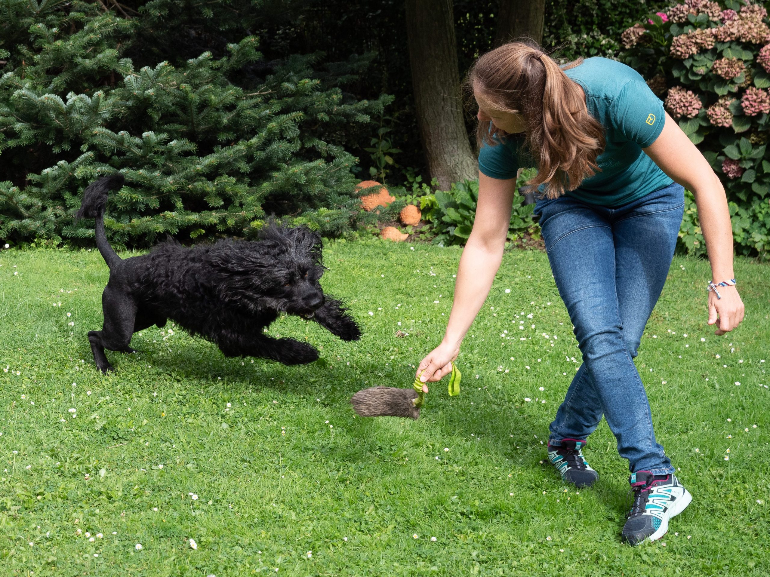 Dr. Martina Weiss beim Spielen mit einem portugiesischen Wasserhund.