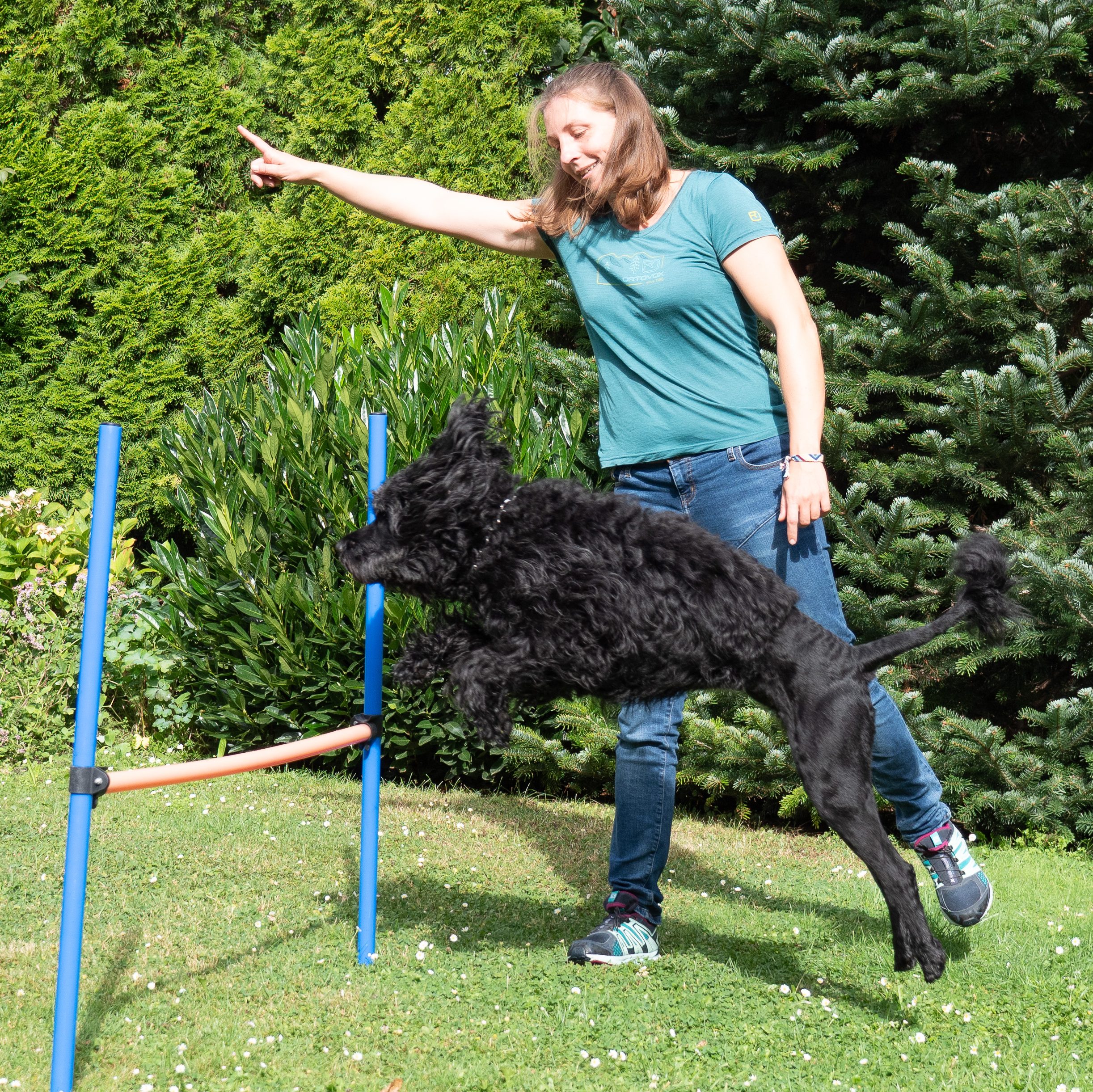 Dr. Martina Weiss beim Training mit einem portugiesischen Wasserhund. 